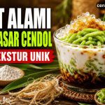 serat alami bahan dasar cendol